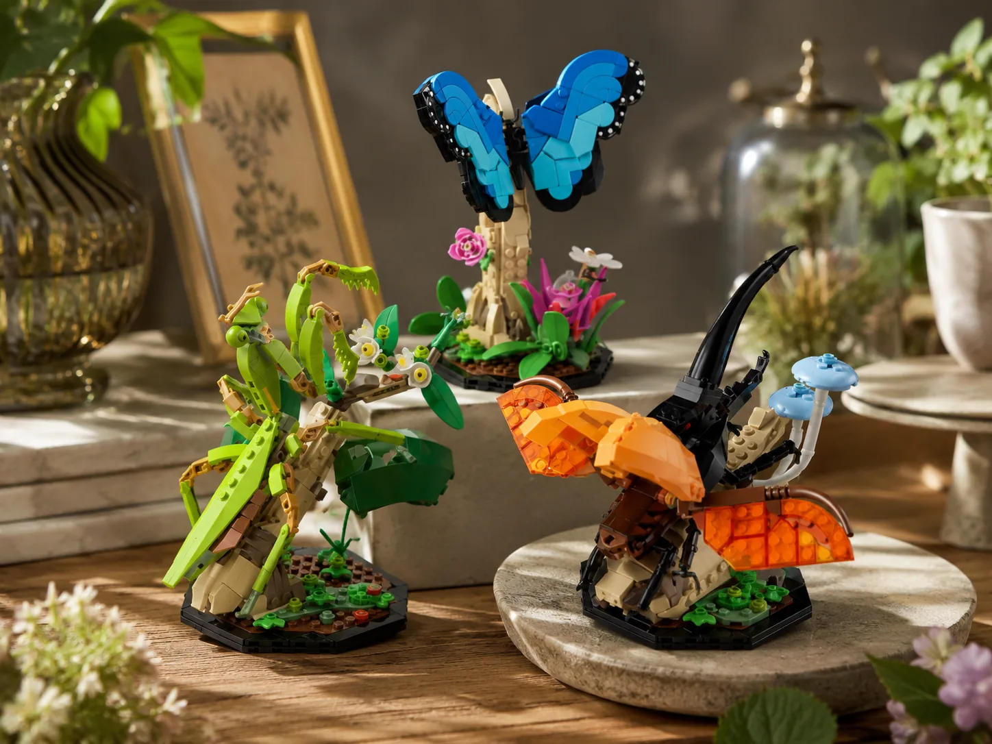 Insect Collection set